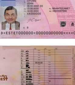 Estonia driving license PSD template, fully editable