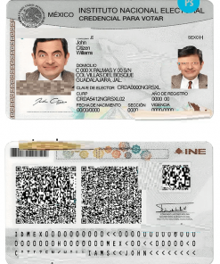 Mexico instituto nacional electoral PSD template, fully editable