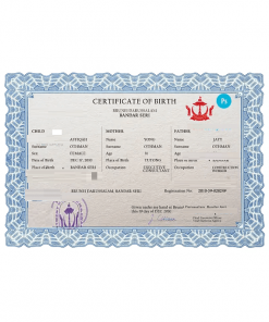 Brunei vital record birth certificate PSD template, completely editable