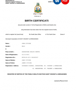 Saint Vincent & Grenadines vital record birth certificate Word and PDF template, completely editable