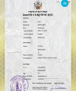 France vital record birth certificate PSD template, completely editable