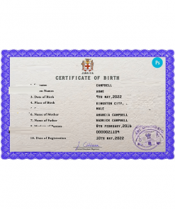 Jamaica vital record birth certificate PSD template, fully editable
