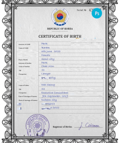 South Korea birth certificate PSD template, completely editable