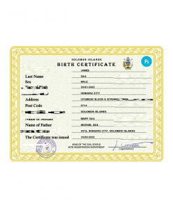 Solomon vital record birth certificate PSD template, fully editable