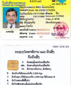LAOS driving license PSD template, with fonts