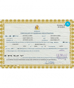 Barbados marriage certificate PSD template, completely editable