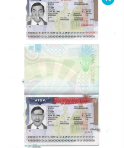 USA Tourist Visa template in PSD format, fully editable