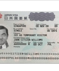 Japan tourist visa template in PSD format, fully editable