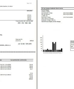 USA DTE Energy utility bill template in Word and PDF format (2 pages)