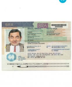 BRAZIL visa PSD template, with fonts, version 2