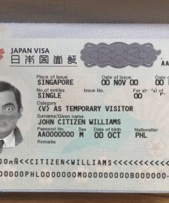 Japan tourist visa template in PSD format, fully editable, + editable PSD photo look