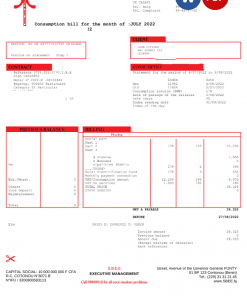 Benin Electric Company Word and PDF utility bill template