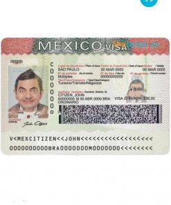 Mexico tourist visa PSD template, completely editable, with fonts