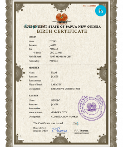 Paraguay vital record birth certificate PSD template
