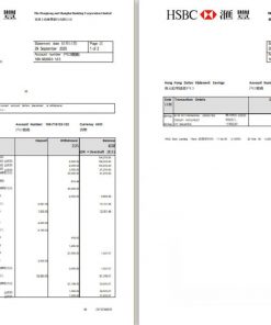Hong Kong HSBC The Hongkong and Shanghai Banking Corporation bank statement template in Excel and PDF format (2 pages)