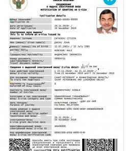 RUSSIA electronic visa PSD template, with fonts