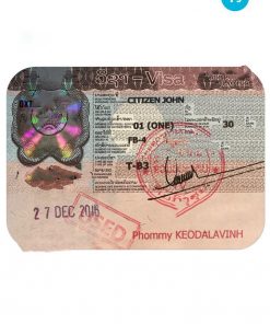 LAOS travel visa PSD template, completely editable, with fonts