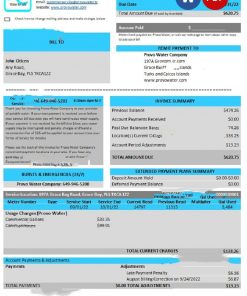 United Kingdom Turks and Caicos Islands Provo Water Company utility bill Word and PDF template