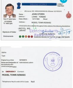 India driving license template in PSD format, version 5