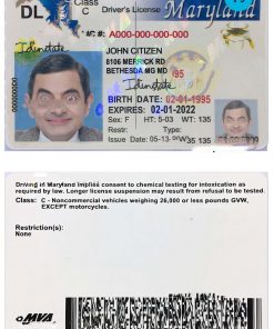 USA Maryland driving license template in PSD format, 2003-2016