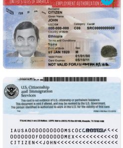 USA employment authorization card PSD template, version 2