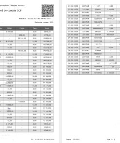 France France National Center for Postal Checks CCP account statement Word and PDF template