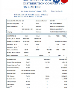 INDIA SOUTHERN POWER utility bill Word and PDF template