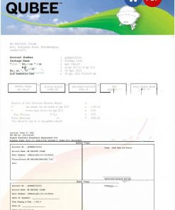 PAKISTAN QUBEE utility bill Word and PDF template