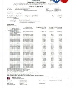 Philippines Robinson Land Corporation utility bill Word and PDF template