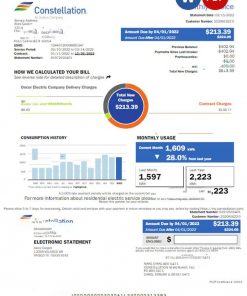 USA CONSTELLATION utility bill Word and PDF template