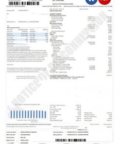 USA DAVAO LIGHT utility bill Word and PDF template