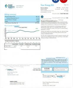 USA DUKE ENERGY utility bill Word and PDF template, version 2