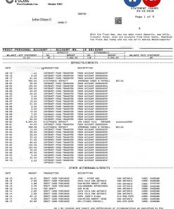 USA FROST BANK statement Word and PDF template