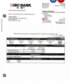 USA IBC bank statement Word and PDF template