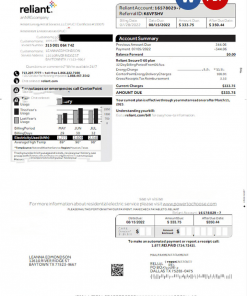USA Reliant utility bill Word and PDF template