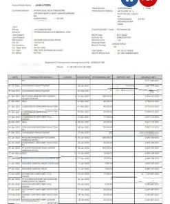 INDIA RBL bank statement Word and PDF template